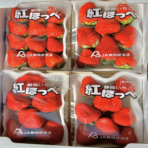 予約受付 いちご イチゴ 苺 紅ほっぺ300グラム以上4パック 静岡 果物