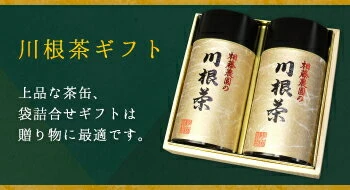 お茶 茶葉 静岡茶 川根茶/ 初摘み・大はしり100g缶詰合せ（ギフト包装）