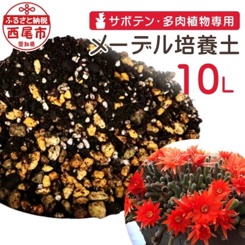 サボテン・多肉植物専用 メーデル培養土 10L A150-13 家庭菜園 ベランダ菜園 プランター 園芸 サボテン さぼてん 多肉植物  ガーデニング 土 用土 植物専用 バーク堆肥 培養土 バーク堆肥粒状化物 鹿沼土 軽石 パーライト 有用微生物 微量要素 肥料 MB