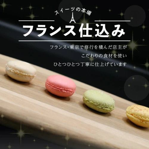 マカロン 10個入 10種類食べ比べ お菓子 スイーツ 手作り おやつ 焼き