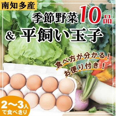 ふるさと納税｜ 旬の季節野菜セット(10〜12品目)&平飼い玉子10個