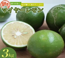 訳あり 国産 数量限定 マイヤーレモン 3kgまたは5kg 【2023年10月~2024