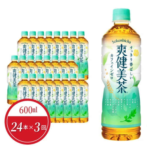 定期便 3回 爽健美茶 ペットボトル 600ml 24本入 ノンカフェイン