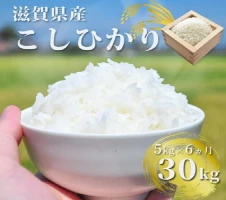 儀平みそ （詰め合わせ6個入り）無添加 発酵 天然醸造 味噌 米味噌