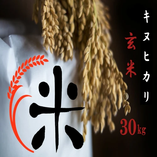令和5年産 特別栽培 近江米 『キヌヒカリ』玄米30kg】 米 近江米