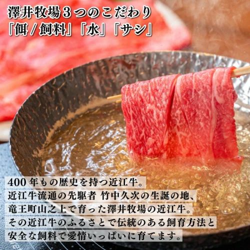 近江牛 すき焼き しゃぶしゃぶ 500g 冷凍 盛り合わせ 3～4人前 お肉 肉