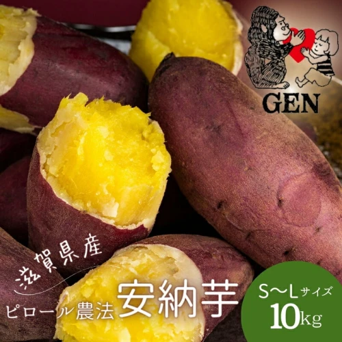 GENの熟成 安納芋 (生芋)S～Lサイズ 10kg さつまいも 【 野菜 焼き芋