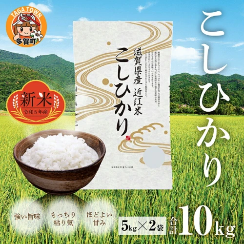 令和5年産】こしひかり10kg（5kg × 2袋） BG無洗米 [B-00402] / 滋賀県