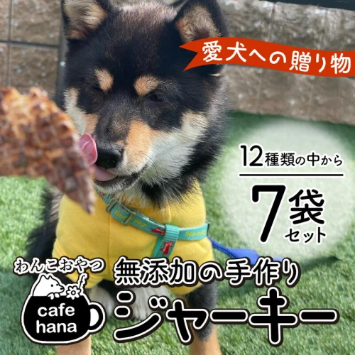 無添加 ペット用 手作り ジャーキー 5種 7袋愛犬 納豆 鶏ささみ 牛タン