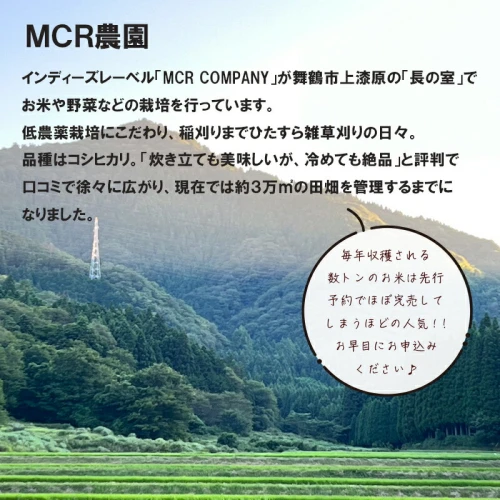 MCR玄米ごはん (BROWN RICE PACK) 200g×10袋/20袋/30袋/40袋 レトルト