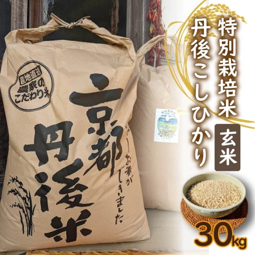先行予約】特別栽培米 令和6年産 丹後こしひかり 玄米30Kg 新米