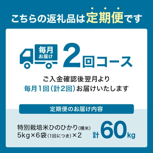 定期便2か月】お米60kg（30kg×2回）特別栽培米 お米 国産 木津川