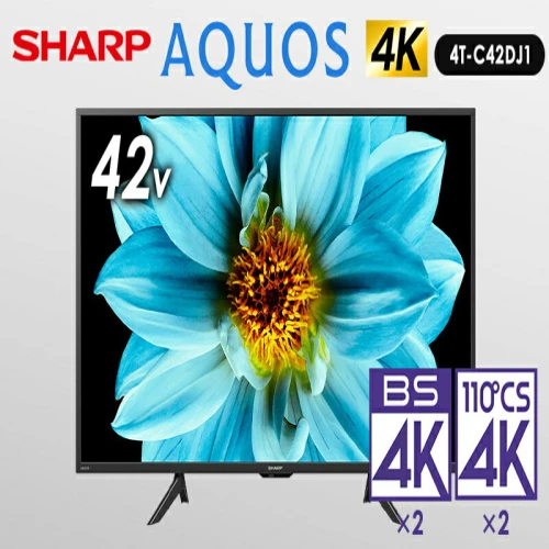 テレビ シャープ SHARP AQUOS アクオス DJ1シリーズ 42V型 4K 液晶