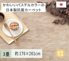 日本製 丸洗いOK ふわふわで軽い 寄り添うフィット毛布 シングル