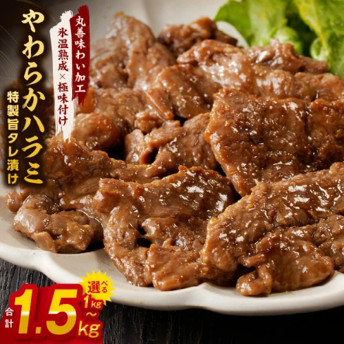 訳あり やわらかハラミ 1kg 1.5kg 特製旨タレ漬け 味付き 不揃い 牛肉 牛 ハラミ タレ漬け 焼肉 旨味 氷温熟成牛 牛肉 熟成肉 氷温 熟成 作り方 ふるさと納税オリジナル 限定 焼肉丼 野菜炒め 大阪府 泉佐野市