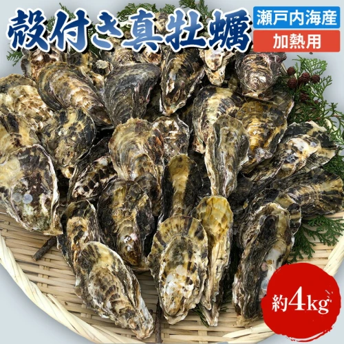牡蠣 殻付き 加熱用 約4kg 旬にお届け！ 姫路産 1年牡蠣 真牡蠣 かき