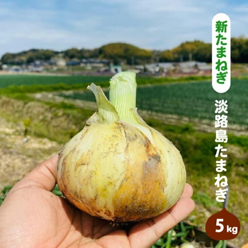 新たまねぎ】淡路島たまねぎ(5キロ)【発送時期：2024年4月下旬～5月