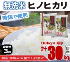 定期便 3回 】令和4年産 無洗米 奈良大和路 ひのひかり 10kg （ 計30kg