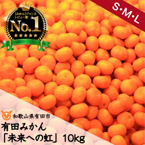 ふるさと納税｜ 有田みかん「未来への虹」 10kgみかん 産地直送 本場