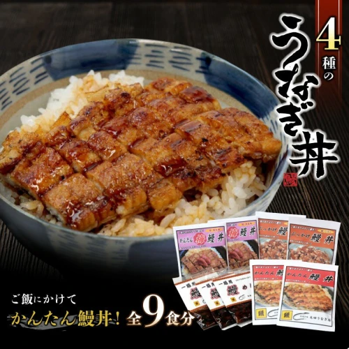 4種のうなぎ丼セット 全9食分 / 田辺市 国産 蒲焼 鰻 鰻丼 うな丼 土用