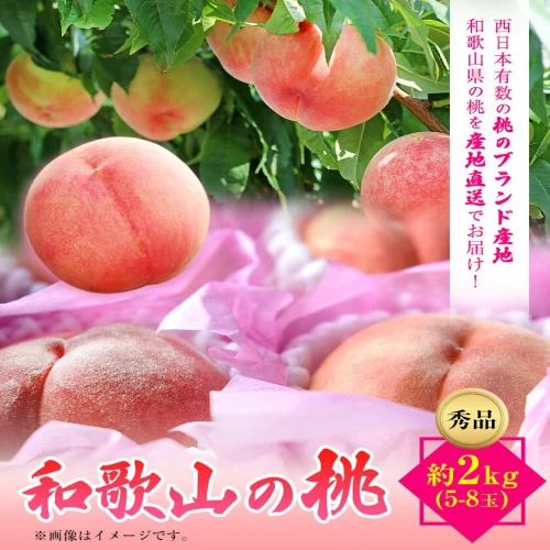 和歌山県紀の川市産桃（もも） 約2kg 5～8玉秀品 前商店《2024年6月