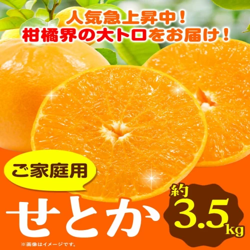 レビューキャンペーン】 訳あり せとか みかん ご家庭用 3.5kg ＋105g