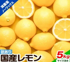 レビューキャンペーン】 厳選 せとか みかん 春みかん 2kg ＋60g(傷み