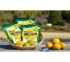 紀州かつらぎ山の食べやすい干し柿 化粧箱入 25g×10個 | 和歌山県 印