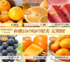 紀州かつらぎ山の食べやすい干し柿 化粧箱入 25g×10個 | 和歌山県 印