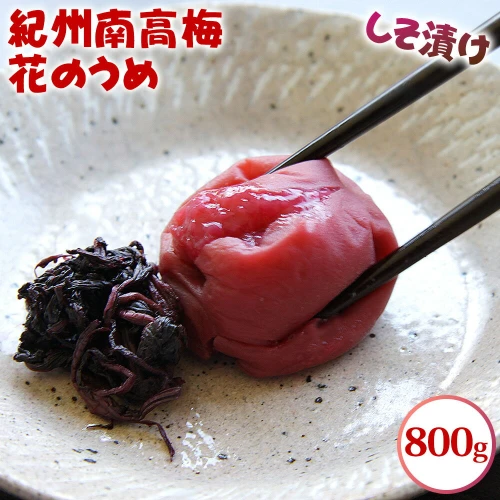 紀州南高梅 花のうめ しそ漬け 800g