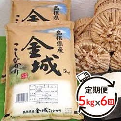 定期便】【令和5年産】浜田市金城町産こしひかり（5kg×6回） 【366】