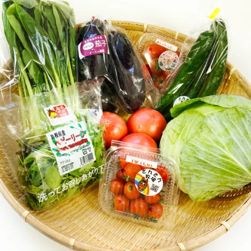 ふるさと納税｜ 旬の野菜おまかせセット 7品目〜10品目 引退競馬の飼育