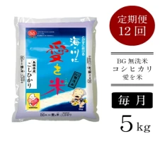 大正屋醤油店 純米しょうゆ＆丸大豆しょうゆセット ／ アレルギー対応