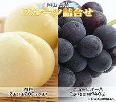 岡山県産果物を贅沢に使用した アイスバー 8本セット【配達不可：離島