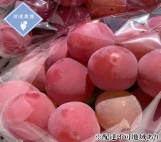 岡山県産果物を贅沢に使用した アイスバー 8本セット【配達不可：離島