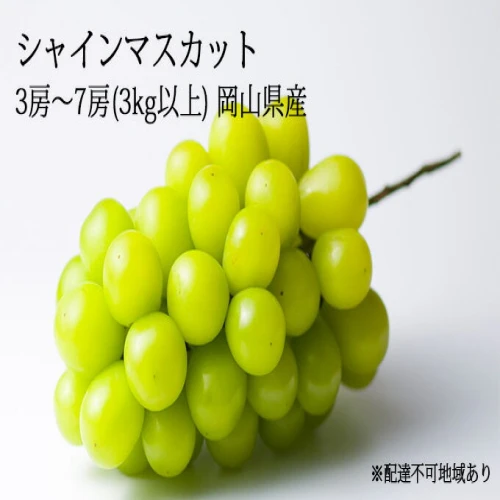 ふるさと納税｜ シャインマスカット 3房〜7房（3kg以上）岡山県産 葡萄