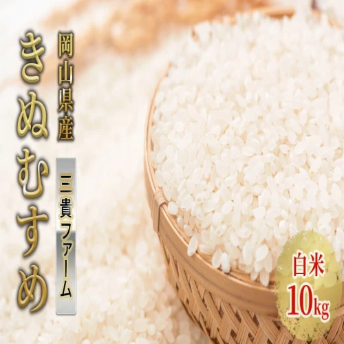 お米 令和5年度産 きぬむすめ 10kg 岡山県産 白米 米 【倉敷市】 お