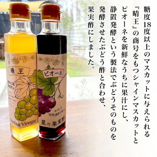 飲む酢 飲むお酢 果実酢 フルーツビネガー ビネガードリンク シャイン