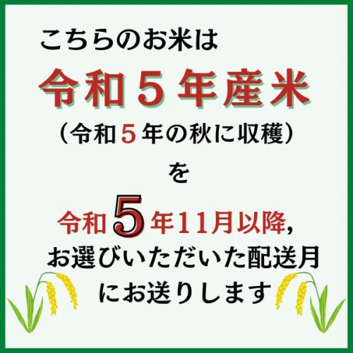 アニメショート ふるさと納税 【令和5年産米】3種食べ比べセット【精