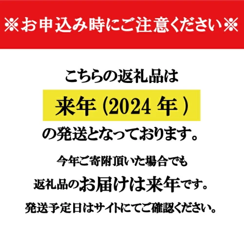 2024年発送】ひなせ産 牡蠣 食べ比べ お試しセット