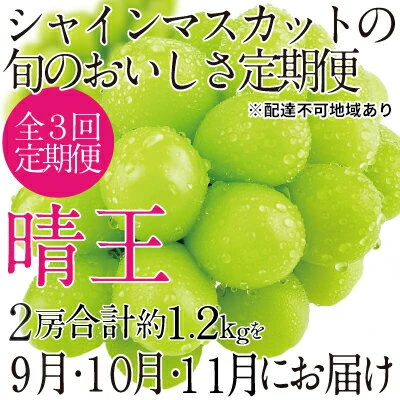 岡山県産！ 晴王！シャインマスカット 2キロ 11 - 果物