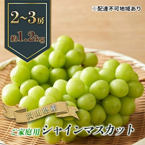 ぶどう 2024年 先行予約 ご家庭用 シャイン マスカット 2～3房 合計約