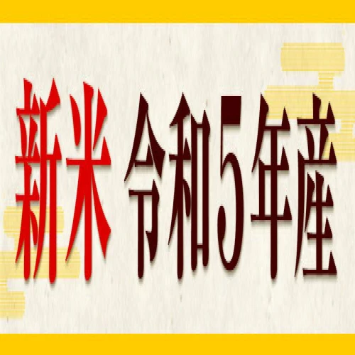 新米 令和5年産 米 岡山県産 きぬむすめ 無洗米 選べる 5kg 10kg 15kg