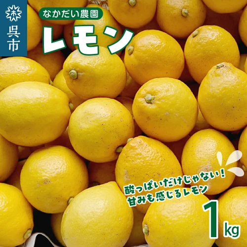 栽培期間中農薬不使用「レモン」 約1kg 檸檬 れもん レモン 栽培期間中