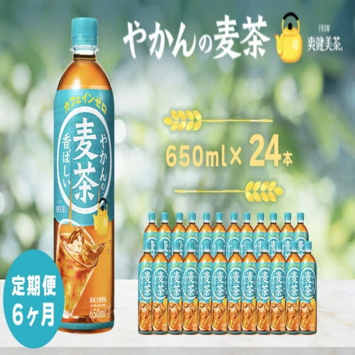 定期便 6ヶ月 やかん の 麦茶 from 爽健美茶 PET 650ml 24本広島 三原