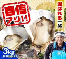 全12回定期便】やながわ自慢！ 殻付き 牡蠣 16個(瞬間冷凍) 牡蠣 かき