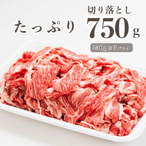 広島県産「世羅みのり牛」切り落とし 合計750g(250g×3パック) 国産牛