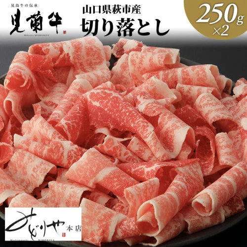 超美品 ふるさと納税 800g 長萩和牛 山口県萩市 №5226-0189]長萩和牛