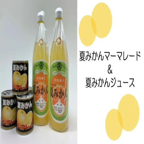 萩名産】夏みかんマーマレード＆夏みかんジュース 【 果汁飲料