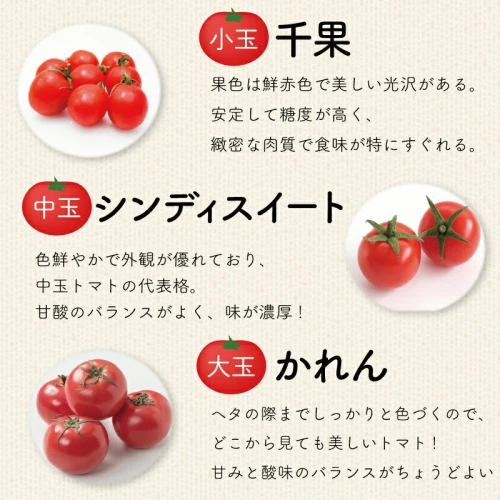ふるさと納税 野菜 トマト ミニトマト 食べ比べ 完熟2kg 冷蔵 詰め合わせ